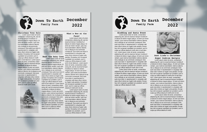 NewsletterMockup-2